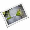 Wedding Flowers White Calla Lily Bouquet