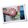 Pink Protea Wedding Flowers